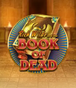 Начните захватывающий мир Book of Dead от Play'n GO, демонстрирующий яркую графику путешествия Рича Уайлда по древнеегипетским гробницам и артефактам. Откройте затерянные богатства с захватывающими механиками, такими как бесплатные вращения, расширяющиеся символы и возможность игры на риск. Идеально для тех, кто ищет приключений, желающих раскопок секретов.